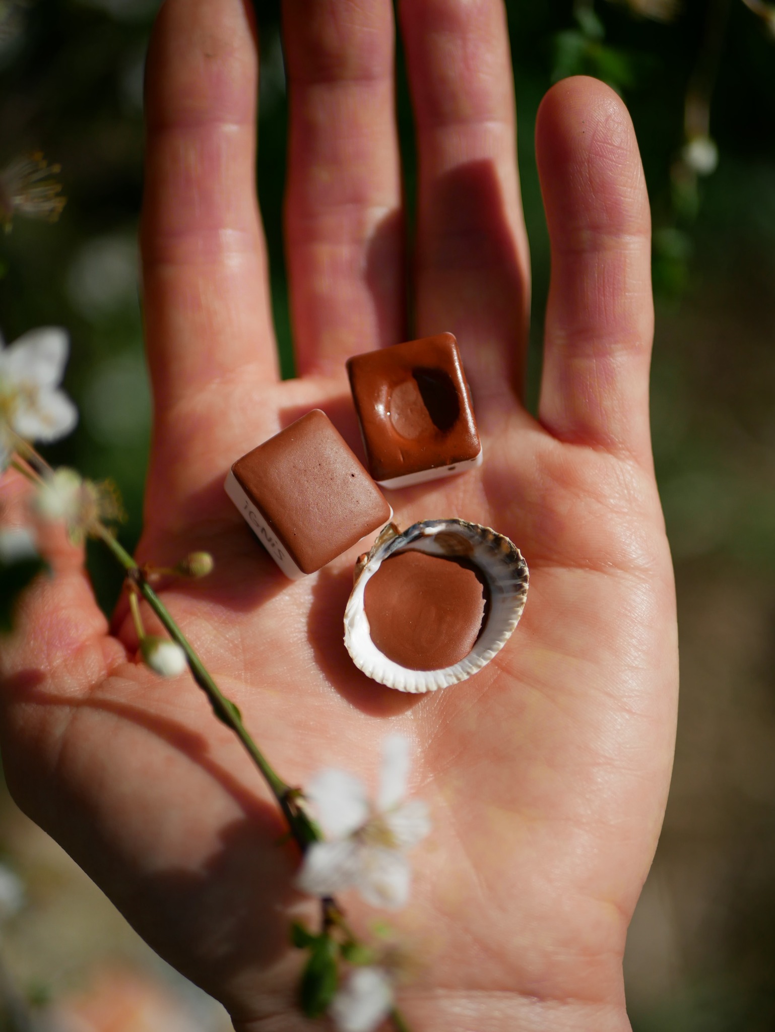 L&rsquo;art de créer son aquarelle naturelle